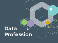 Data Profession