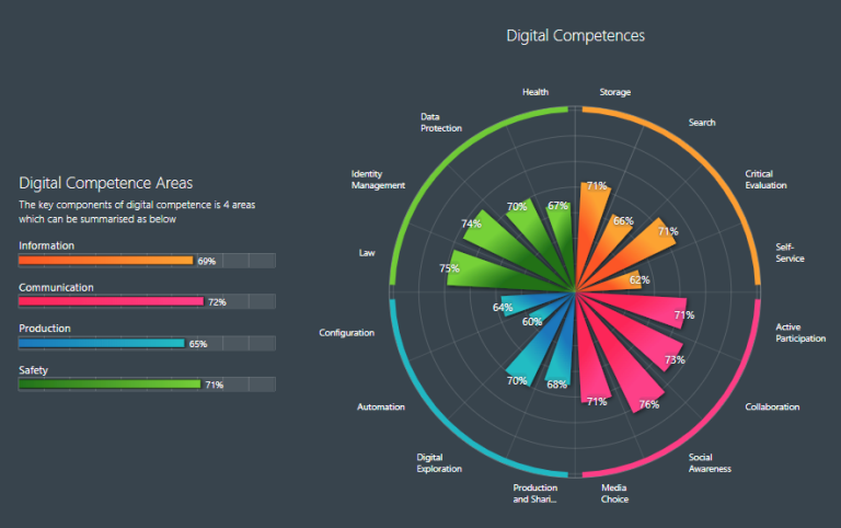 A data visualisation wheel featuring 16 digital competencies in four areas of information, communication, production and safety.