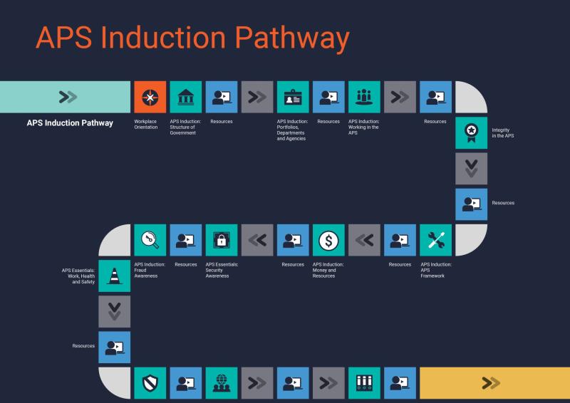 Visual representation of the APS Induction learning pathway