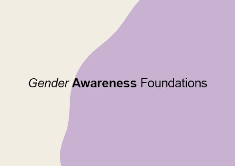 Heading saying, ‘Gender Awareness Foundations’