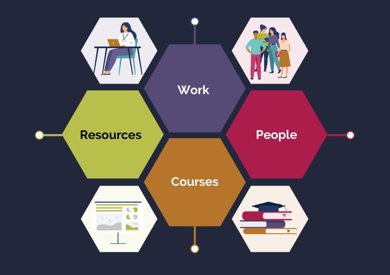 Pictorial of 4 hexagons in which are the words, Work; People; Resources: and Courses. These hexagons are surrounded by 4 illustrative images of a person at a desk; a group of 4 people standing together; a chart; and a stack of books with an academic mortar board on the top.