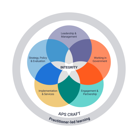 APS Academy Craft wheel